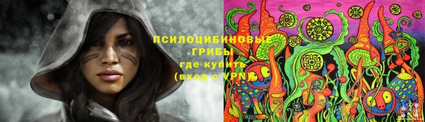 стаф Карпинск